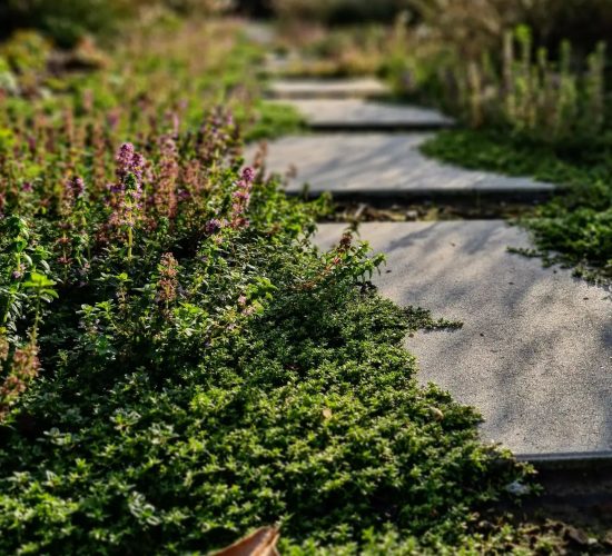 477484750_1128048635685523_4495019431738868965_n