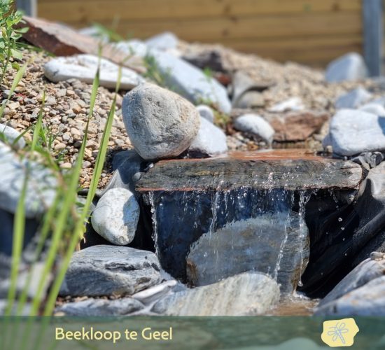 479179772_18105515104488874_1630552005708306730_n