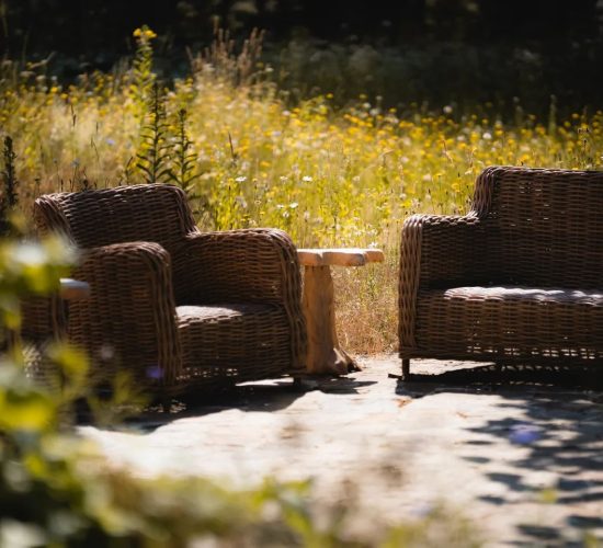 480533369_1135426841614369_3327381904912188115_n