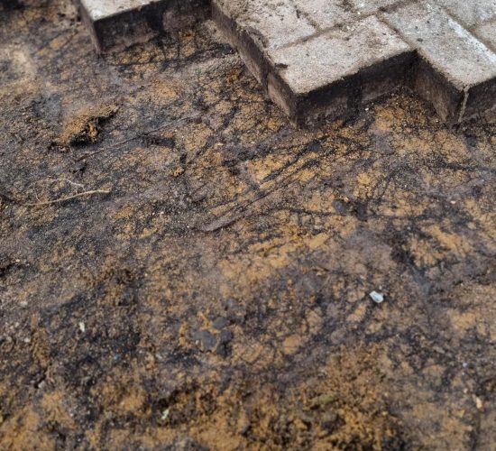 480942769_1141059184384468_3128686875427943277_n