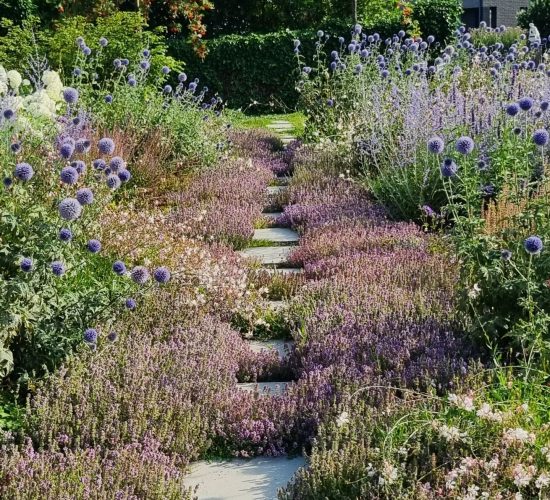 481215742_1140478184442568_7322898965062769105_n