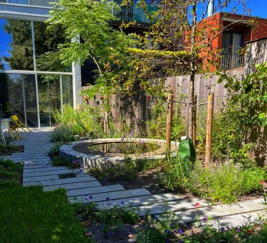 481221411_1135431301613923_5093181156840245156_n