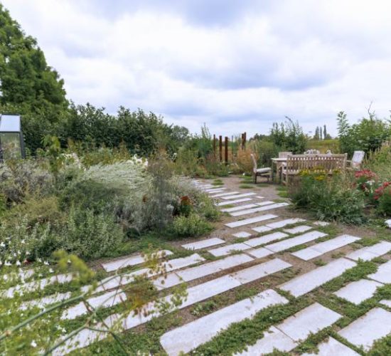 nicovgfilms-habitus-119-1666099813