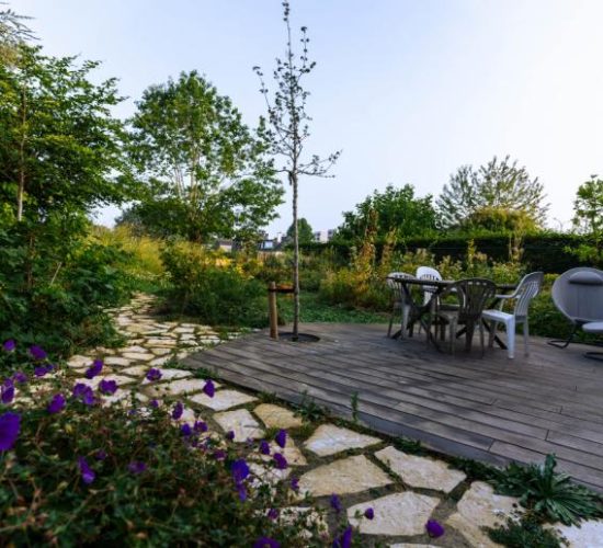 nicovgfilms-habitus-12-1666099778