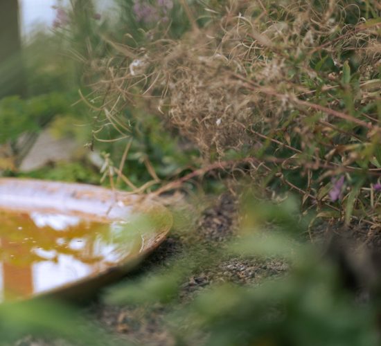 nicovgfilms-habitus-144-1666099826