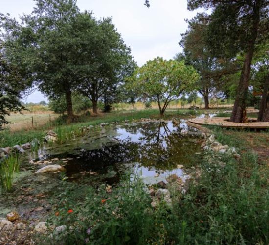 nicovgfilms-habitus-35-1666099794